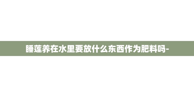 睡莲养在水里要放什么东西作为肥料吗-