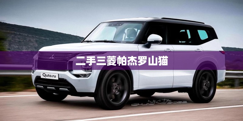 二手三菱帕杰罗山猫