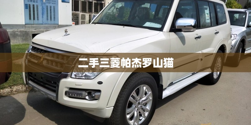 二手三菱帕杰罗山猫