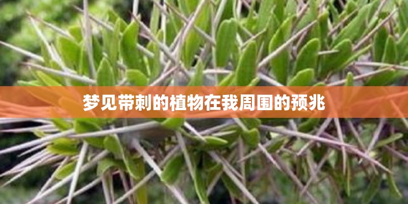 梦见带刺的植物在我周围的预兆