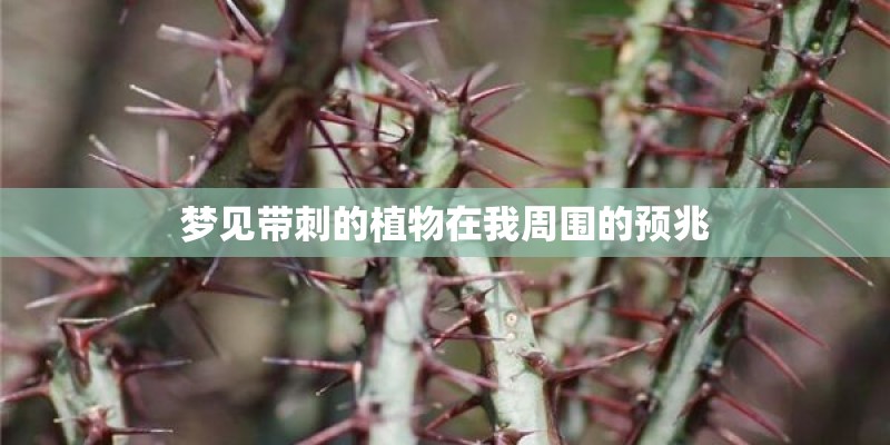 梦见带刺的植物在我周围的预兆