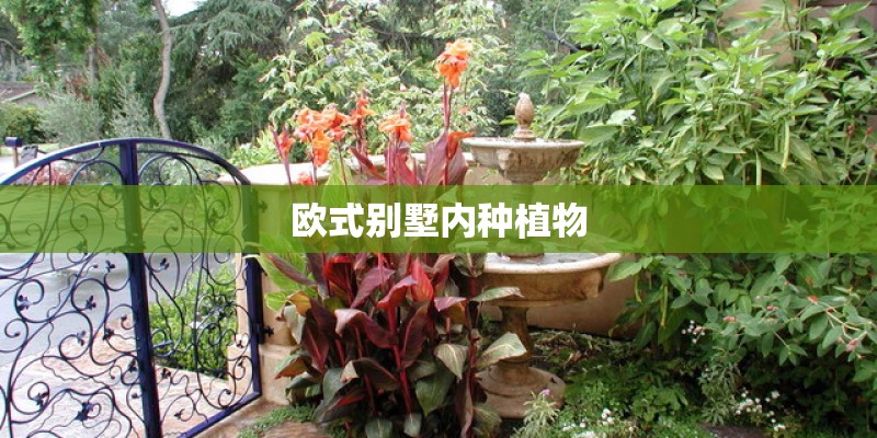 欧式别墅内种植物
