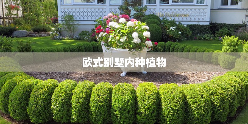 欧式别墅内种植物