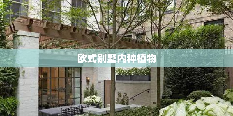 欧式别墅内种植物