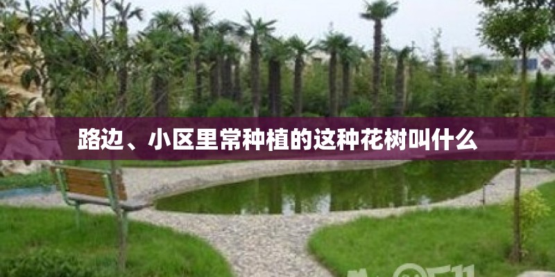 路边、小区里常种植的这种花树叫什么