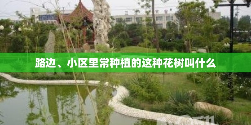 路边、小区里常种植的这种花树叫什么