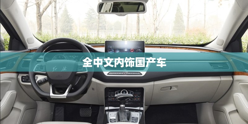 全中文内饰国产车