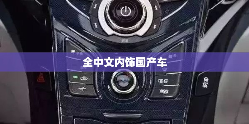 全中文内饰国产车