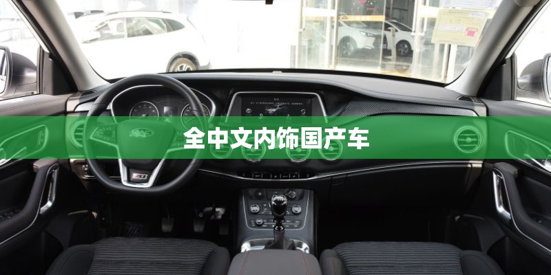 全中文内饰国产车