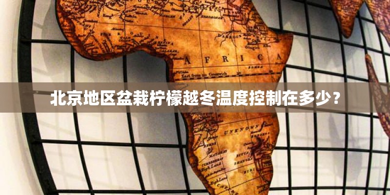 北京地区盆栽柠檬越冬温度控制在多少？