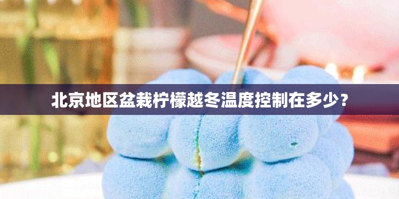 北京地区盆栽柠檬越冬温度控制在多少？
