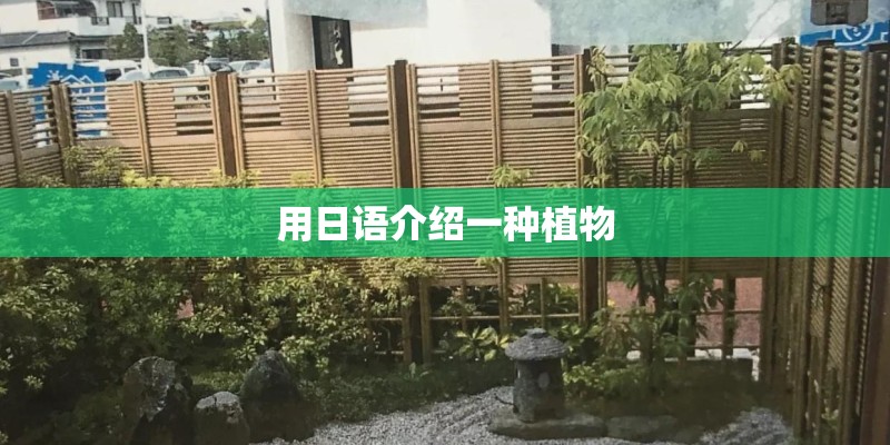 用日语介绍一种植物
