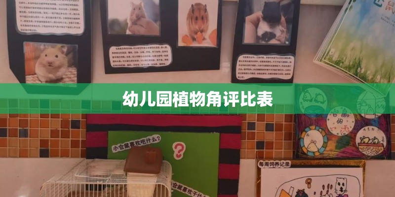 幼儿园植物角评比表 幼儿园植物角评比表