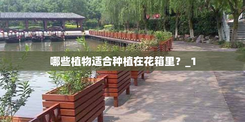 移动互联网从内容角度分类可以分为哪几类