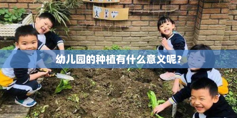 幼儿园的种植有什么意义呢？