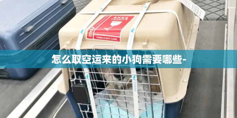怎么取空运来的小狗需要哪些-
