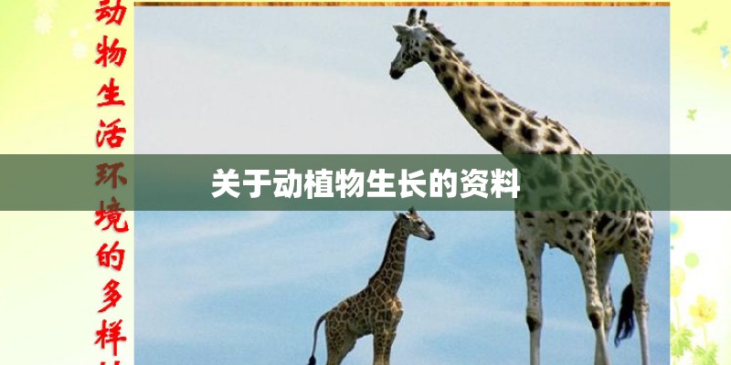 关于动植物生长的资料