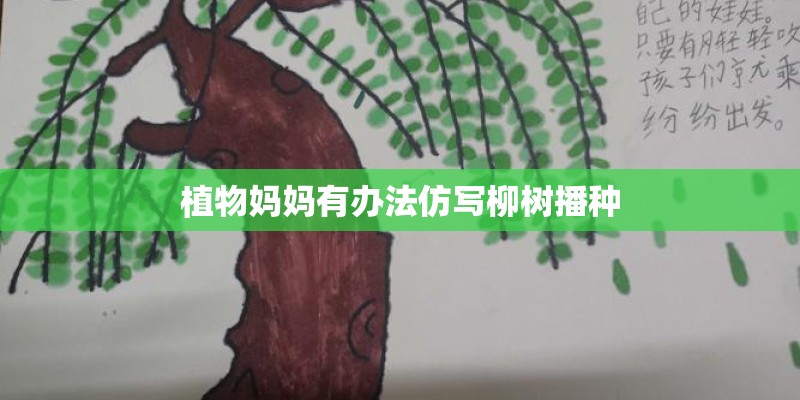 植物妈妈有办法仿写柳树播种