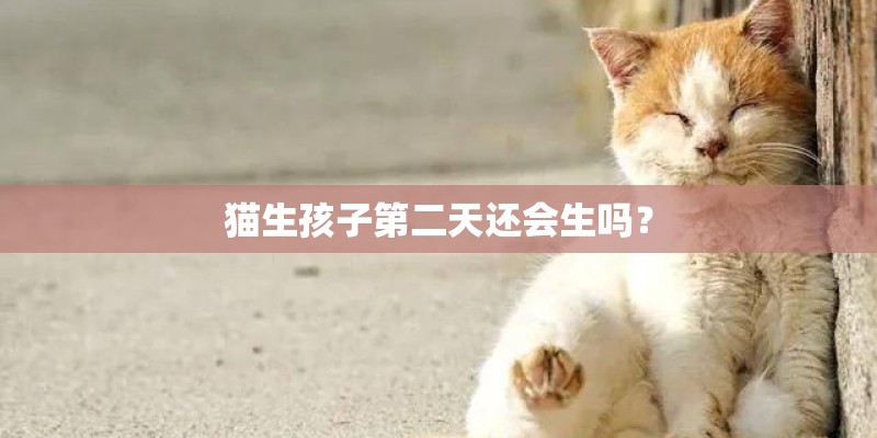 猫生孩子第二天还会生吗？