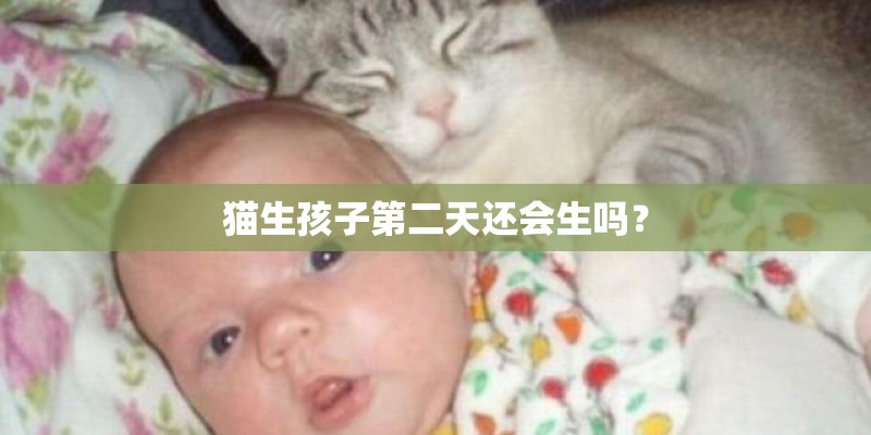 猫生孩子第二天还会生吗？