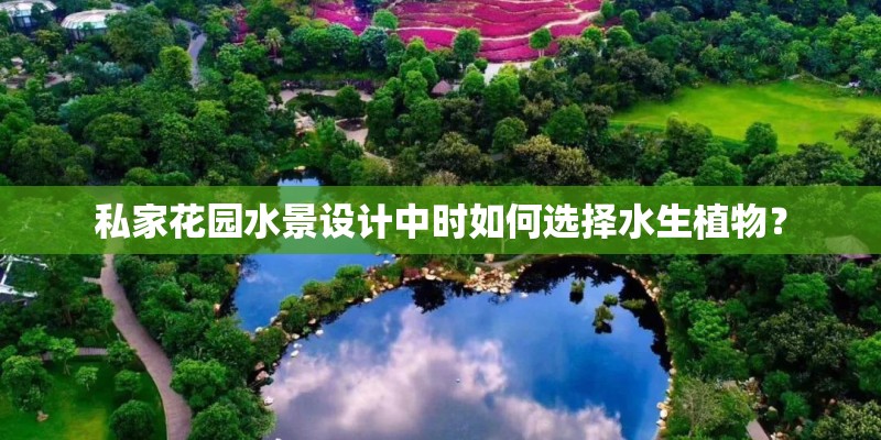 私家花园水景设计中时如何选择水生植物？