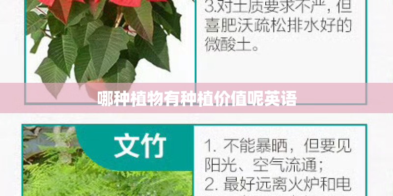 哪种植物有种植价值呢英语