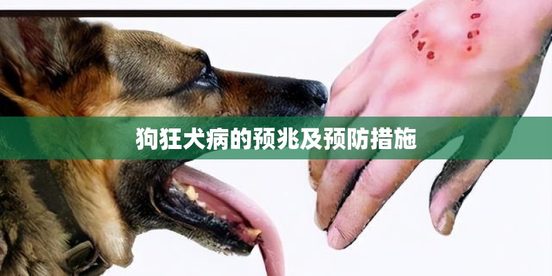 狗狂犬病的预兆及预防措施
