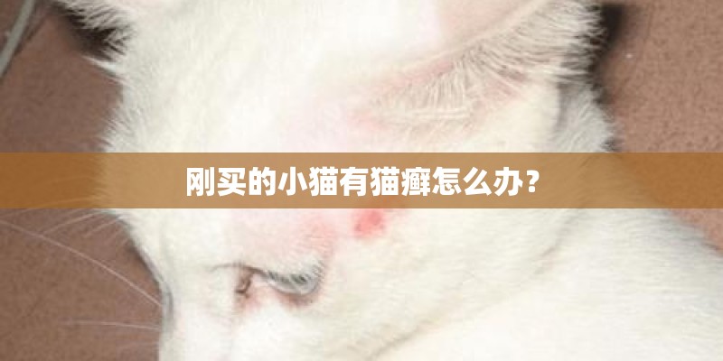 刚买的小猫有猫癣怎么办? 刚买的小猫有猫癣怎么办?