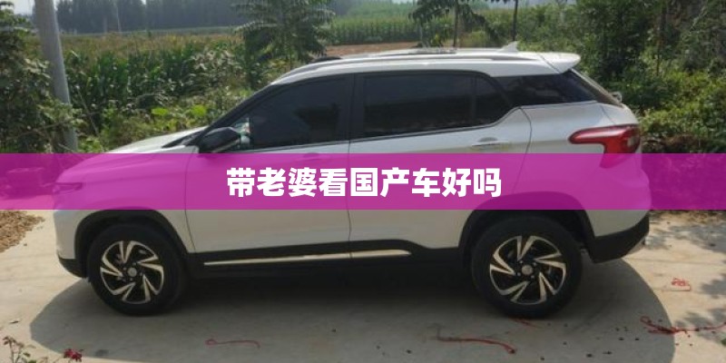 带老婆看国产车好吗 带老婆看国产车好吗