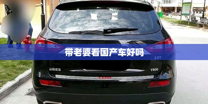 带老婆看国产车好吗 带老婆看国产车好吗