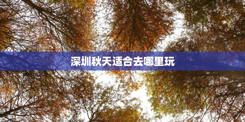 深圳秋天适合去哪里玩