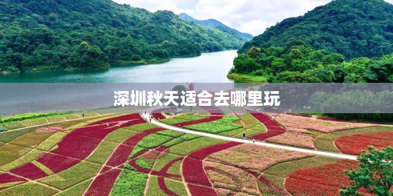 深圳秋天适合去哪里玩