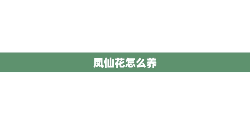 凤仙花怎么养 凤仙花怎么养