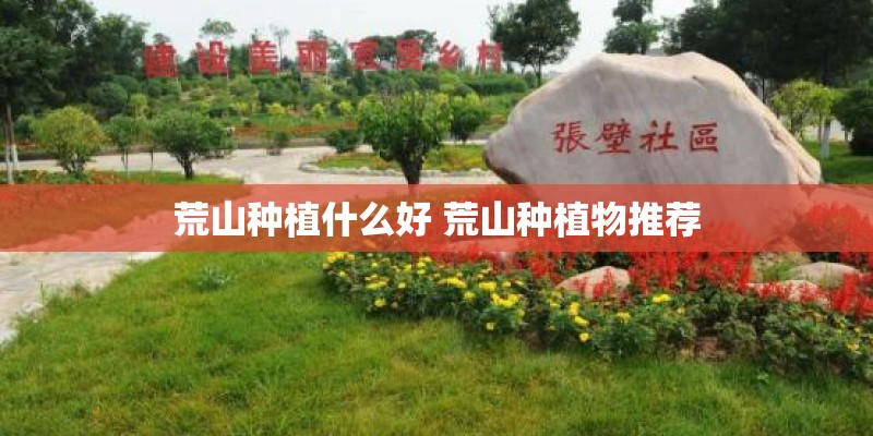 荒山种植什么好 荒山种植物推荐