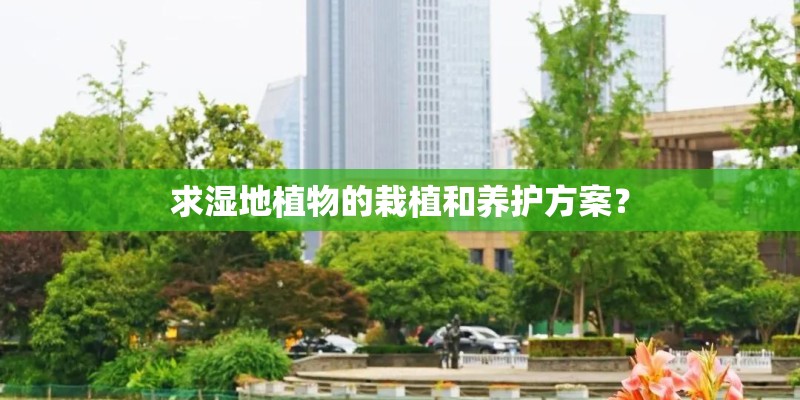 求湿地植物的栽植和养护方案？
