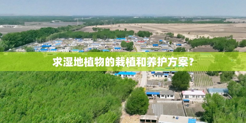求湿地植物的栽植和养护方案？