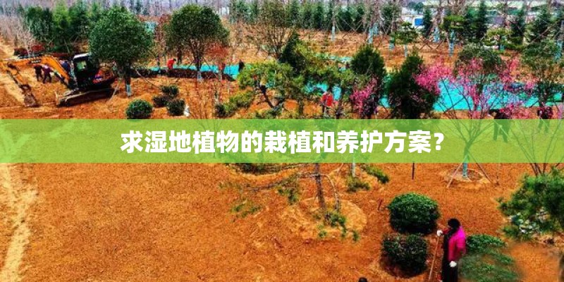 求湿地植物的栽植和养护方案？