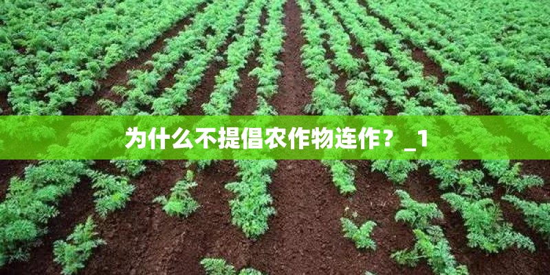 为什么不提倡农作物连作？_1