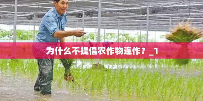 为什么不提倡农作物连作？_1