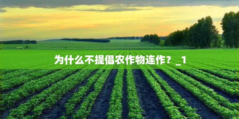 为什么不提倡农作物连作？_1