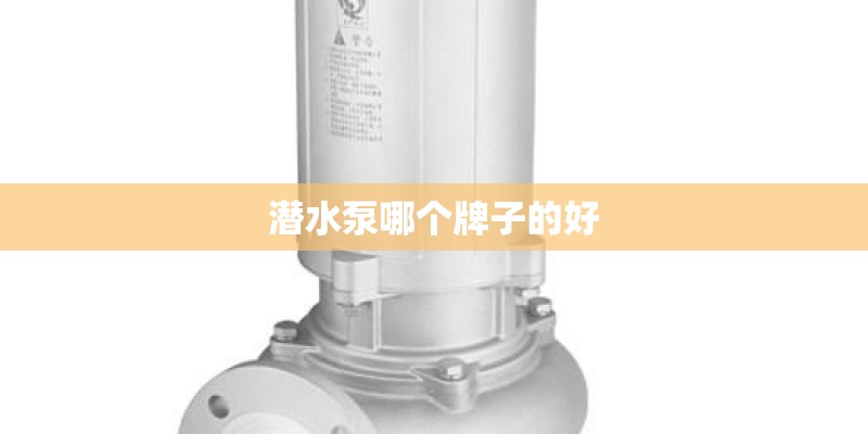 潜水泵哪个牌子的好
