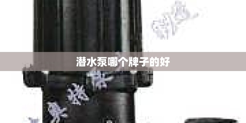 潜水泵哪个牌子的好 潜水泵哪个牌子的好