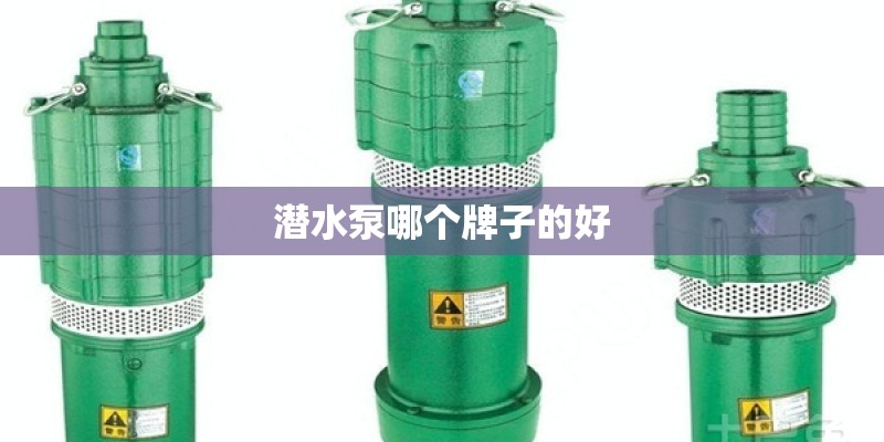 潜水泵哪个牌子的好 潜水泵哪个牌子的好