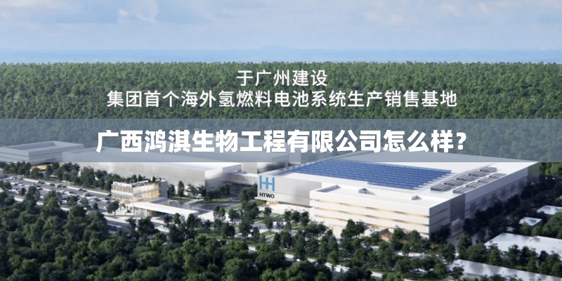 广西鸿淇生物工程有限公司怎么样？