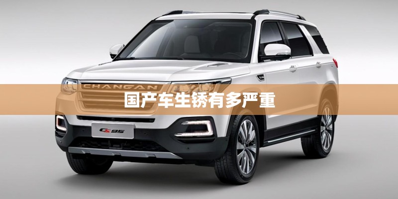 国产车生锈有多严重 国产车生锈有多严重