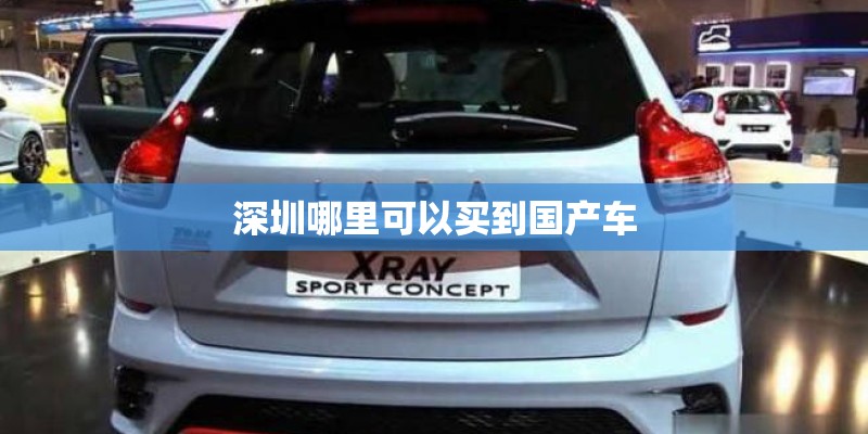 深圳哪里可以买到国产车