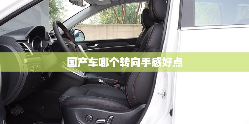 国产车哪个转向手感好点 国产车哪个转向手感好点