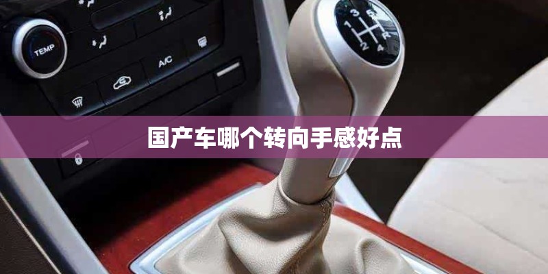 国产车哪个转向手感好点 国产车哪个转向手感好点