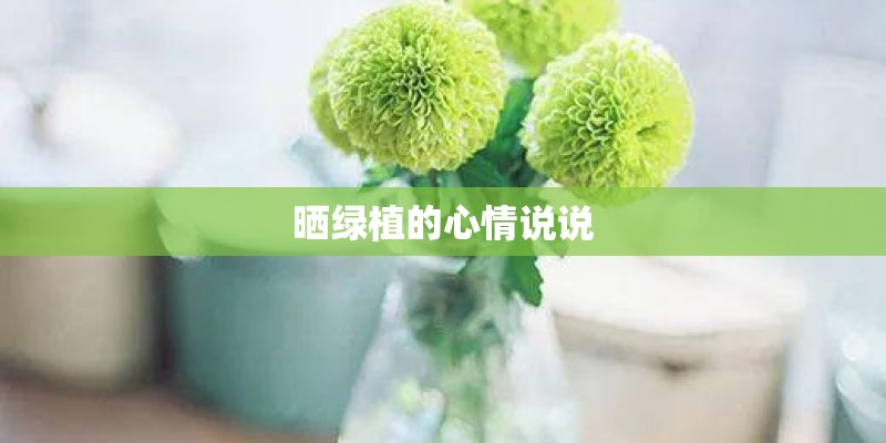 晒绿植的心情说说
