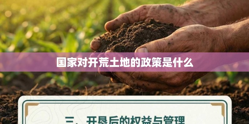 国家对开荒土地的政策是什么 国家对开荒土地的政策是什么